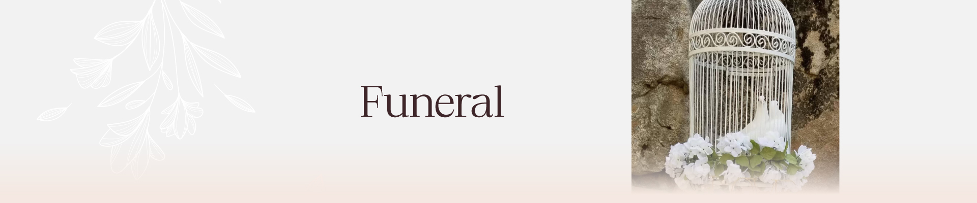 A symbol of peace and purity, captured in the image of a flying white dove