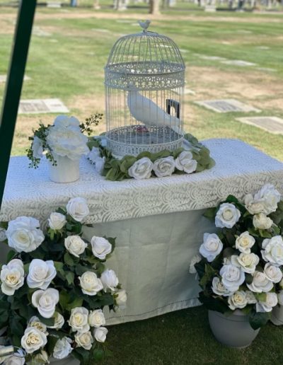 A symbol of peace and remembrance, a white dove at a funeral service