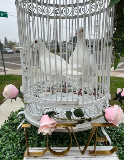 Two white doves inside a large, decorative white birdcage adorned with white flowers