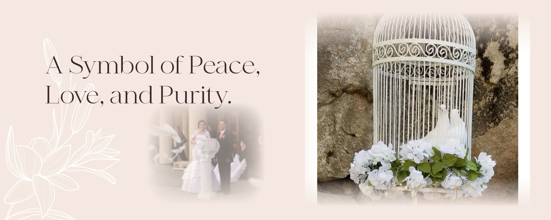 A Symbol of Peace, Love, and Purity