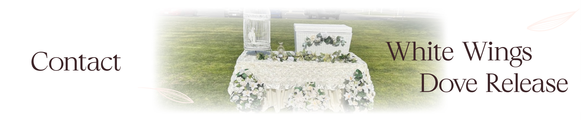 Contact Us - The symbolism of releasing doves at a funeral service