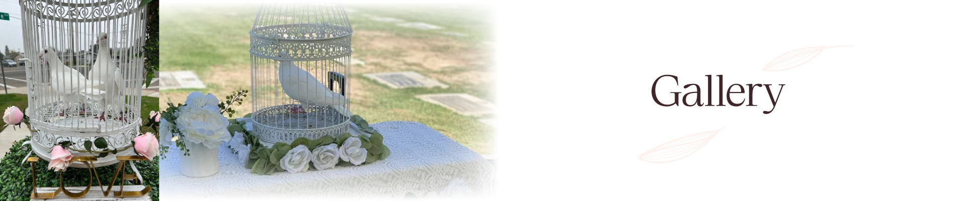 Gallery - A meaningful way to honor a loved one, with a dove release ceremony