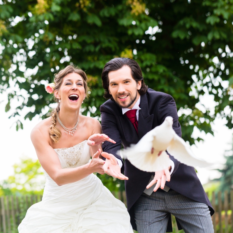 A peaceful and gentle moment, captured in the image of doves landing on a person's hand