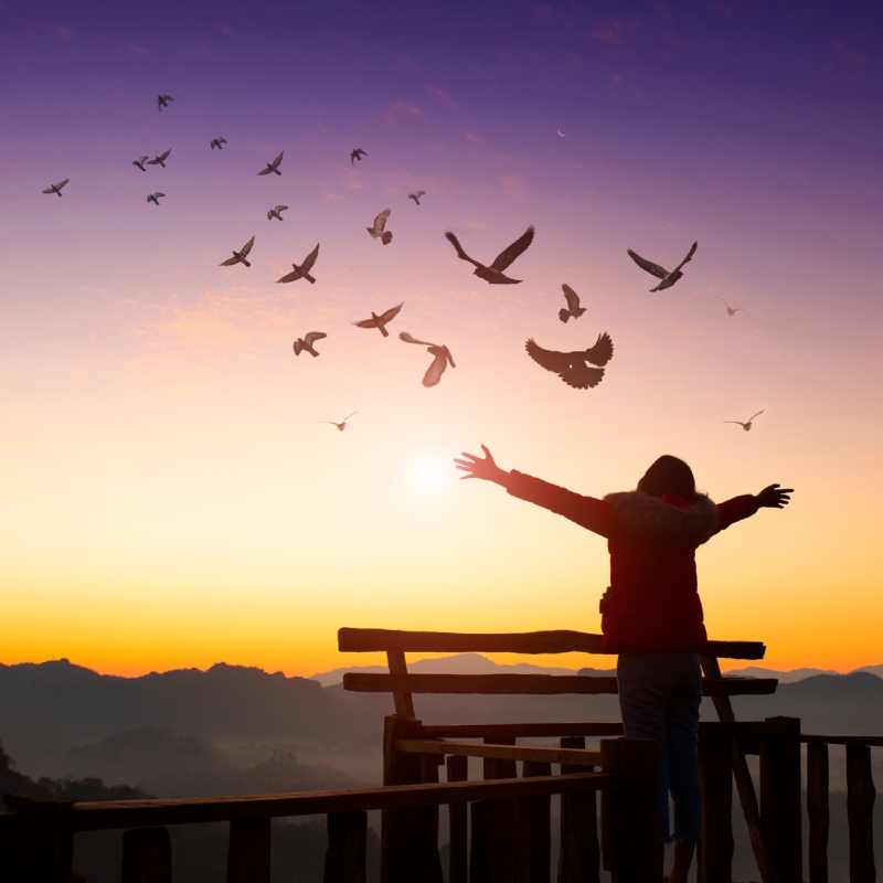 A feeling of freedom and peace as a person watches birds fly into a beautiful sunrise